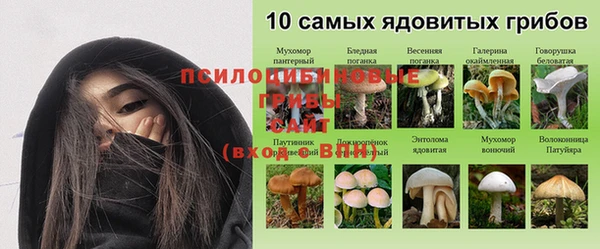 СК Кукмор