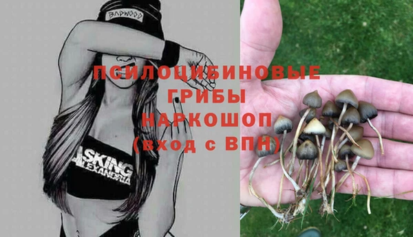 прущая мука Балахна