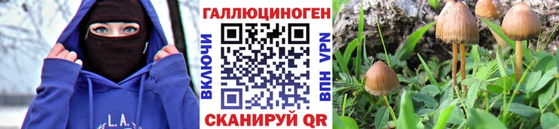Галлюциногенные грибы MAGIC MUSHROOMS  купить  сайты  Городище 
